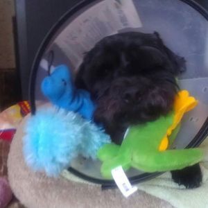 Meet your Posher, Claudia